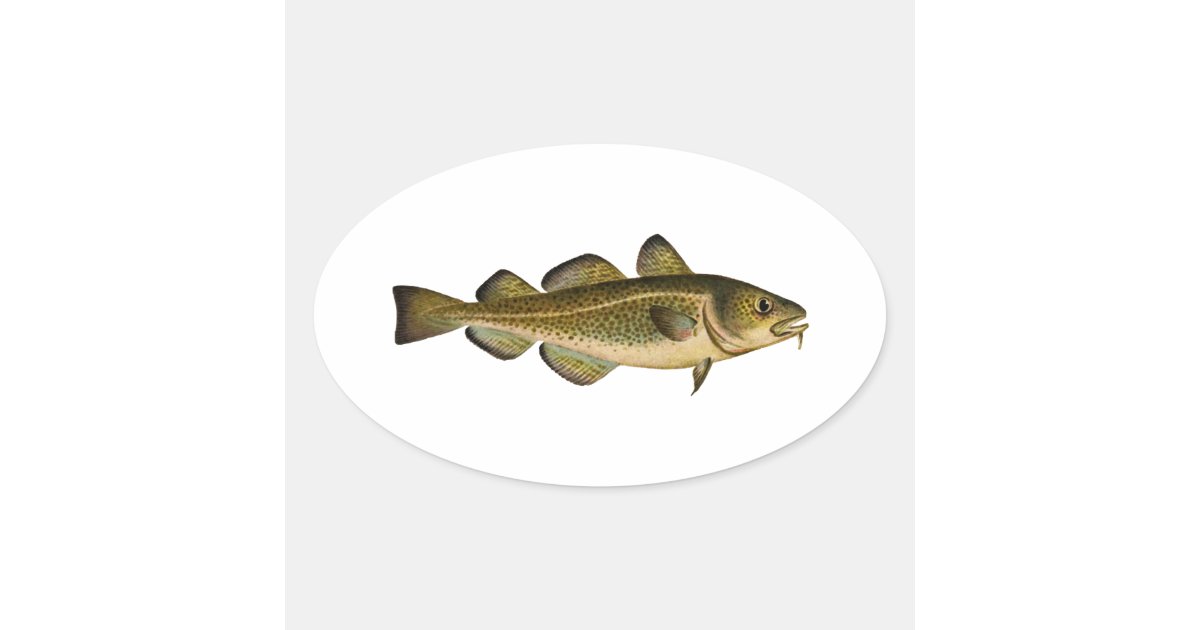 Oval Cod Atlantic Cod Oval Sticker | Zazzle