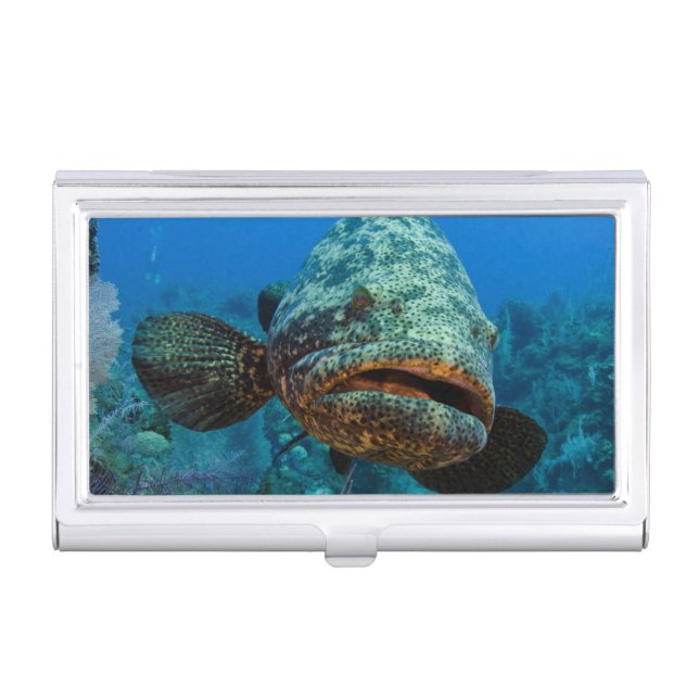 Atlantic Goliath Grouper Case For Business Cards (Front)