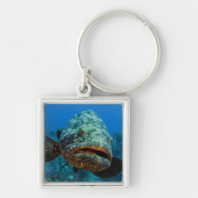 Atlantic Goliath Grouper Keychain (Front)