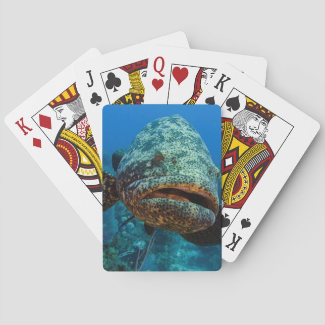 Atlantic Goliath Grouper Poker Cards (Back)