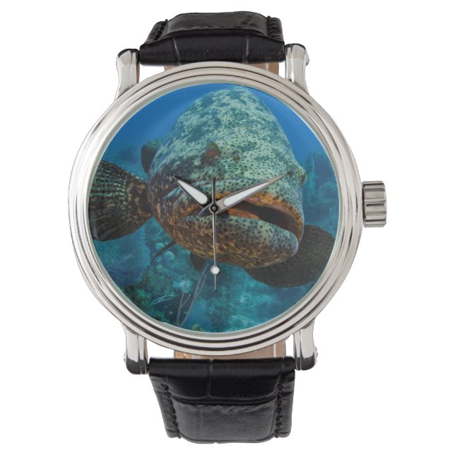 Atlantic Goliath Grouper Watch (Front)