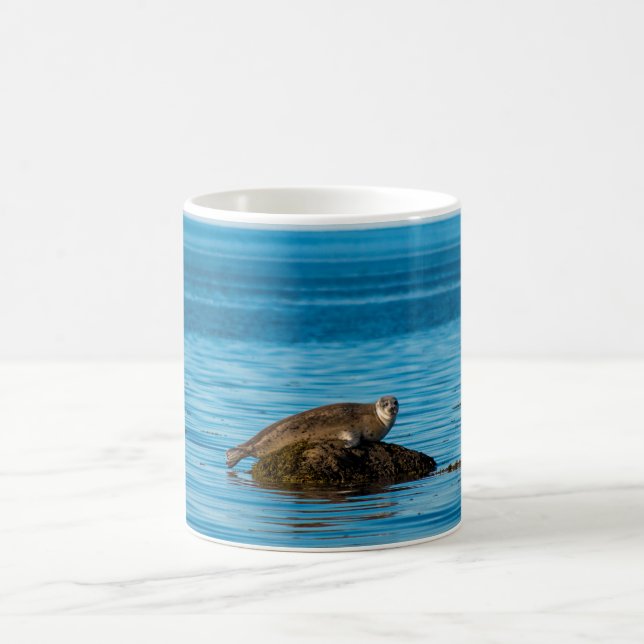 Atlantic Harbor Seal Coffee Mug (Center)