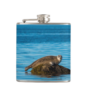 Atlantic Harbor Seal Flask