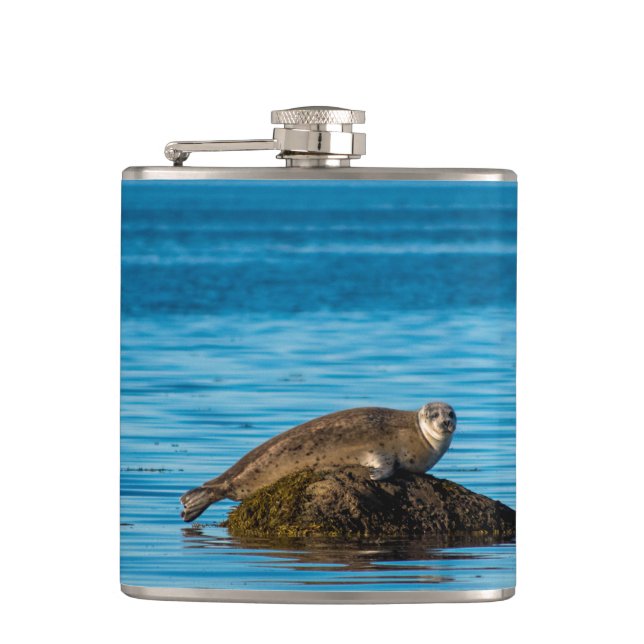 Atlantic Harbor Seal Flask (Front)