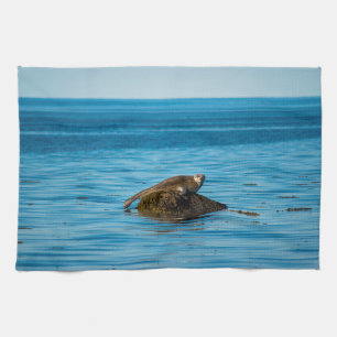Atlantic Harbor Seal Kitchen Towel