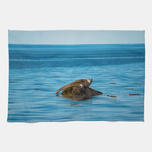 Atlantic Harbor Seal Kitchen Towel (Horizontal)
