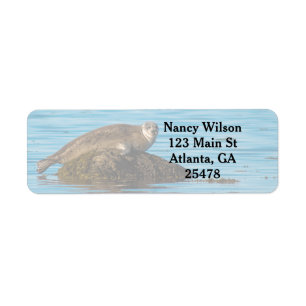Atlantic Harbor Seal Label