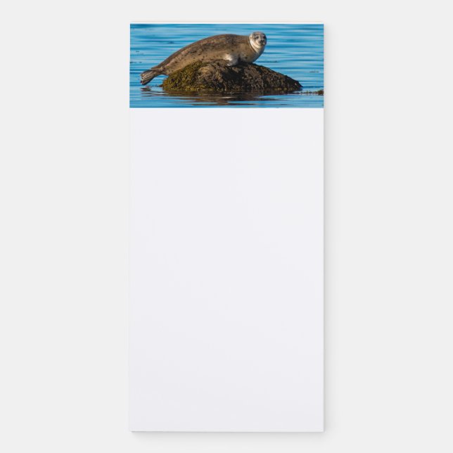 Atlantic Harbor Seal Magnetic Notepad (Front)