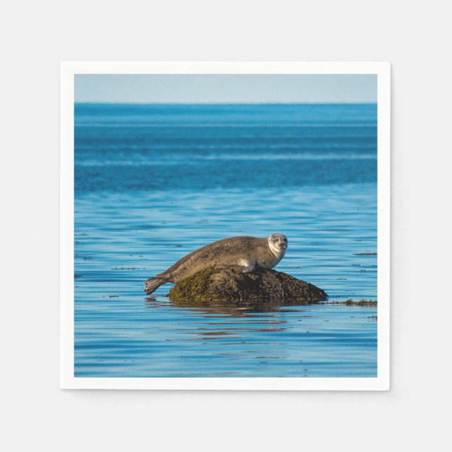 Atlantic Harbor Seal Napkins (Front)