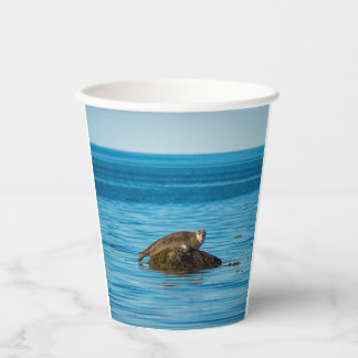 Atlantic Harbor Seal Paper Cups
