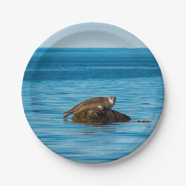 Atlantic Harbor Seal Paper Plates (Front)