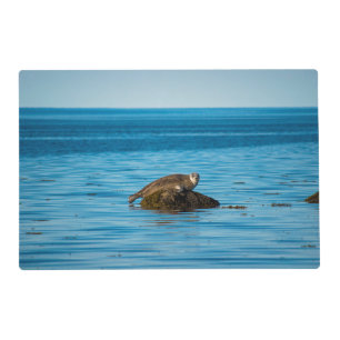 Atlantic Harbor Seal Placemat