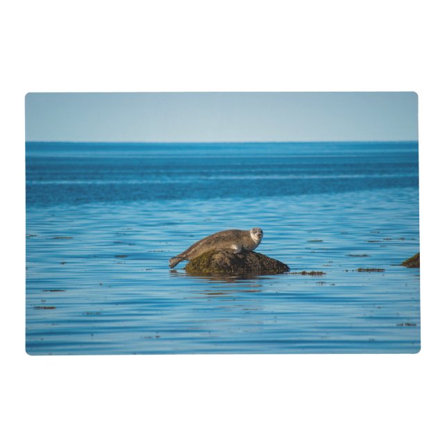 Atlantic Harbor Seal Placemat (Front)