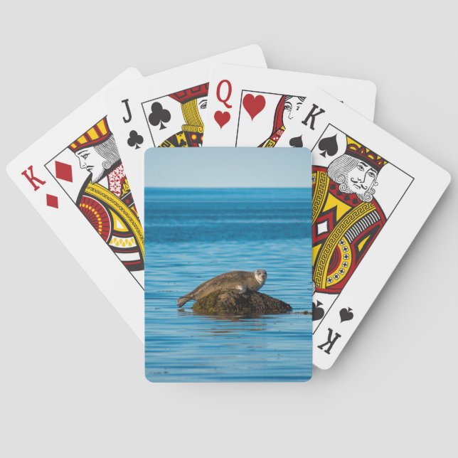 Atlantic Harbor Seal  Poker Cards (Back)