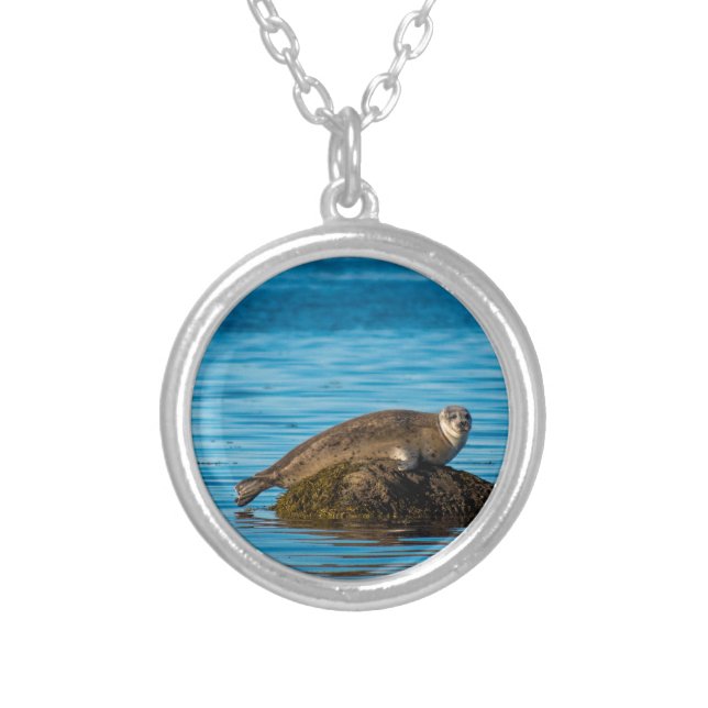 Atlantic Harbor Seal Silver Plated Necklace (Front)