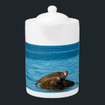 Atlantic Harbor Seal Teapot<br><div class="desc">Atlantic Harbor Seal chilling on a rock St Lawrence river, 100% Customization. Click on the CUSTOMIZE button to add, move, delete, resize or change any of the fonts or graphics.</div>
