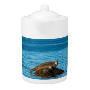 Atlantic Harbor Seal Teapot