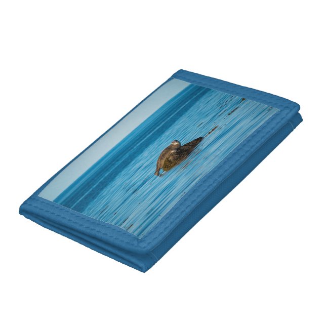 Atlantic Harbor Seal Trifold Wallet (Bottom)