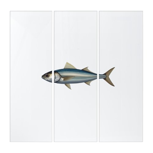Atlantic mackerel. triptych