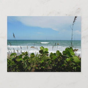 Atlantic Ocean Photo Postcard