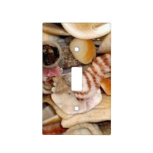 Atlantic Ocean Sea Shells Light Switch Cover