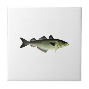 Atlantic Pollock Tile
