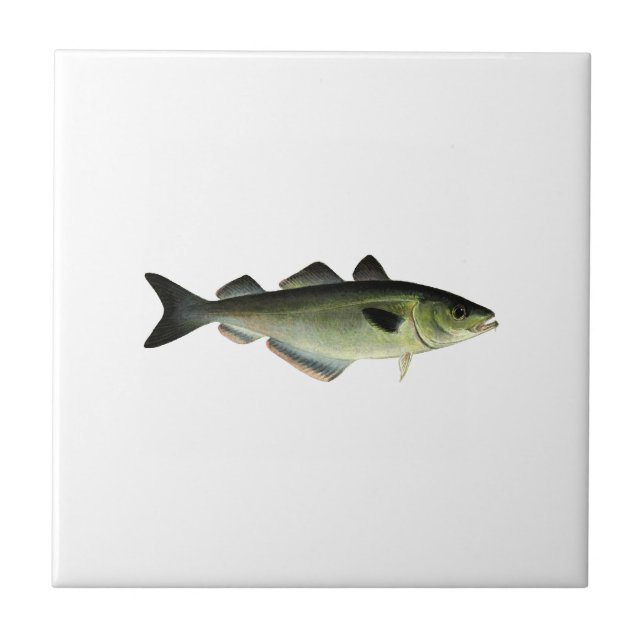 Atlantic Pollock Tile (Front)