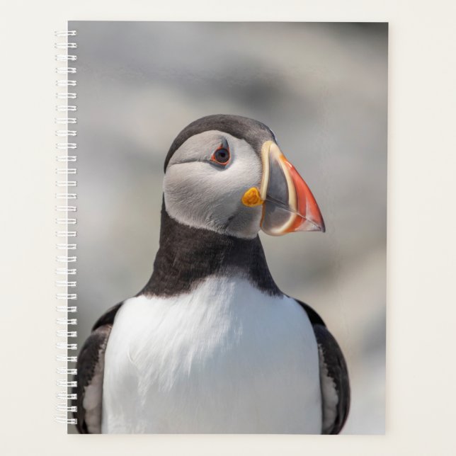 Atlantic Puffin 2026 Planner | Maine Coastal Wild (Front)