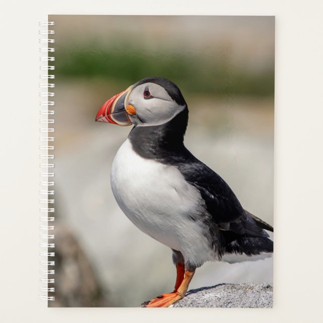 Atlantic Puffin 2026 Planner | Maine Coastal Wild (Front)