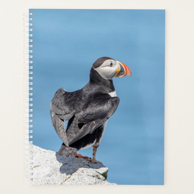 Atlantic Puffin 2026 Planner | Maine Coastal Wild (Front)