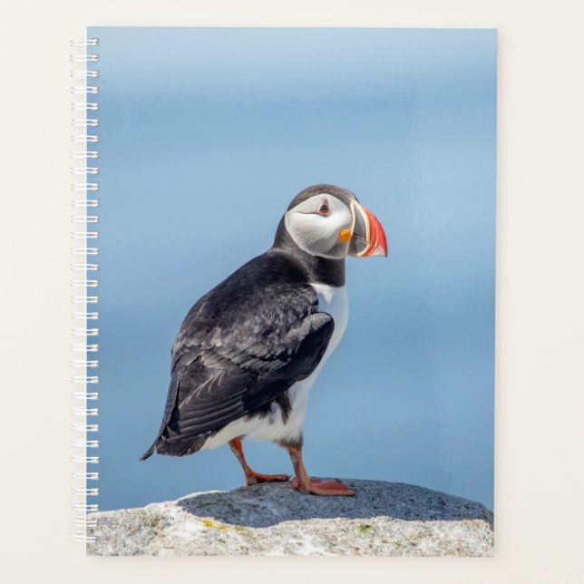 Atlantic Puffin 2026 Planner | Maine Coastal Wild (Front)