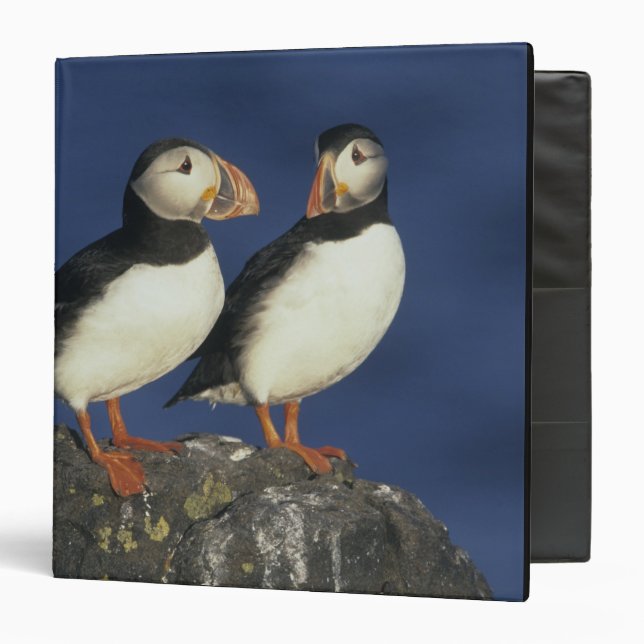 Atlantic Puffin Binder (Front/Inside)
