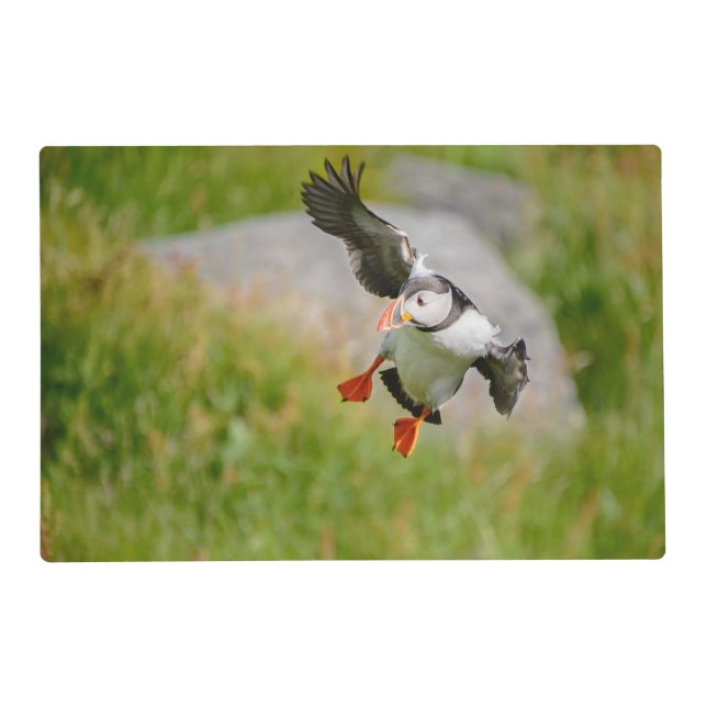 Atlantic Puffin bird flying placemat (Front)