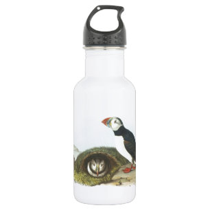 Atlantic Puffin by Audubon Water Bottle