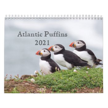 Atlantic Puffin Calendar 2021 by Welshpixels at Zazzle