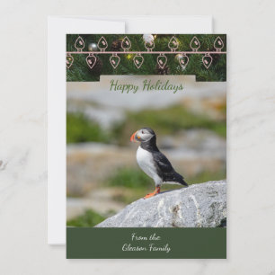 Atlantic Puffin Christmas Card