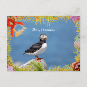 Atlantic Puffin Christmas Card