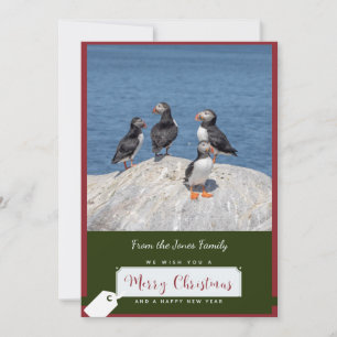 Atlantic Puffin Christmas Card