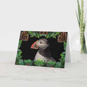 Atlantic Puffin Christmas Card