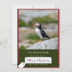 Atlantic Puffin Christmas Card