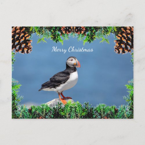 Atlantic Puffin Christmas Card