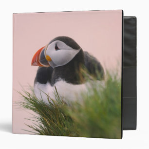 Atlantic Puffin (Fratercula arctica) 3 Ring Binder