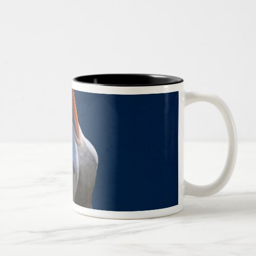 Atlantic Puffin Fratercula arctica 3 Two_Tone Coffee Mug