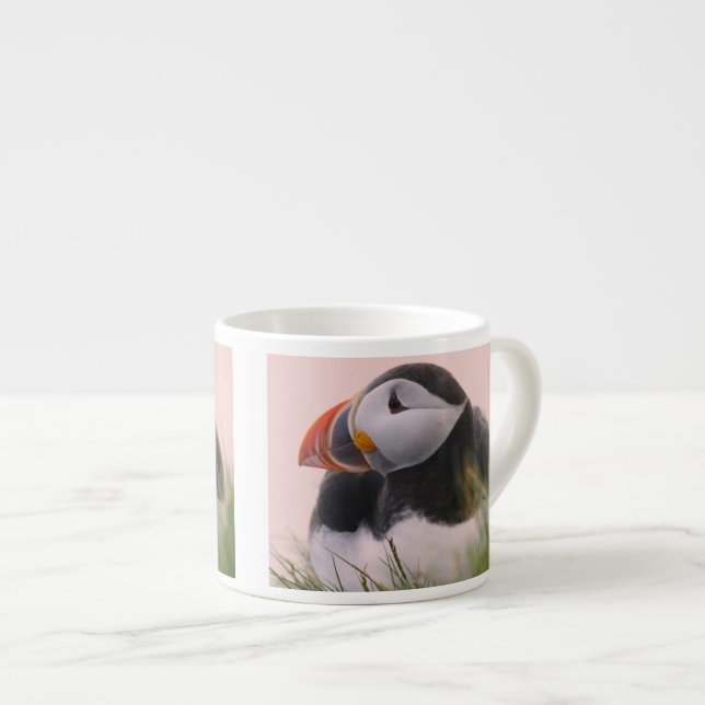 Atlantic Puffin (Fratercula arctica) 6 Espresso Cup (Front Right)