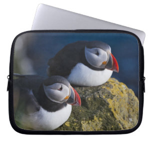 Atlantic Puffin (Fratercula arctica) 7 Laptop Sleeve