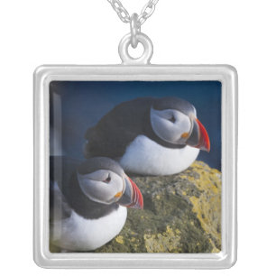 Atlantic Puffin (Fratercula arctica) 7 Silver Plated Necklace