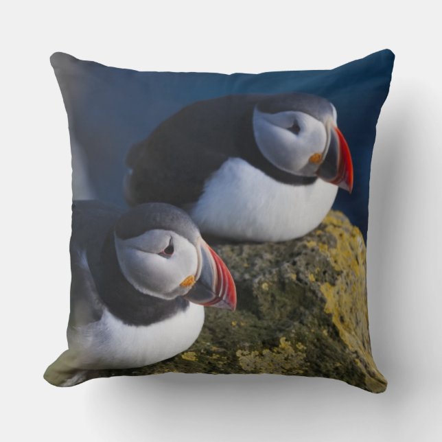 Atlantic Puffin (Fratercula arctica) 7 Throw Pillow (Front)