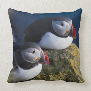 Atlantic Puffin (Fratercula arctica) 7 Throw Pillow