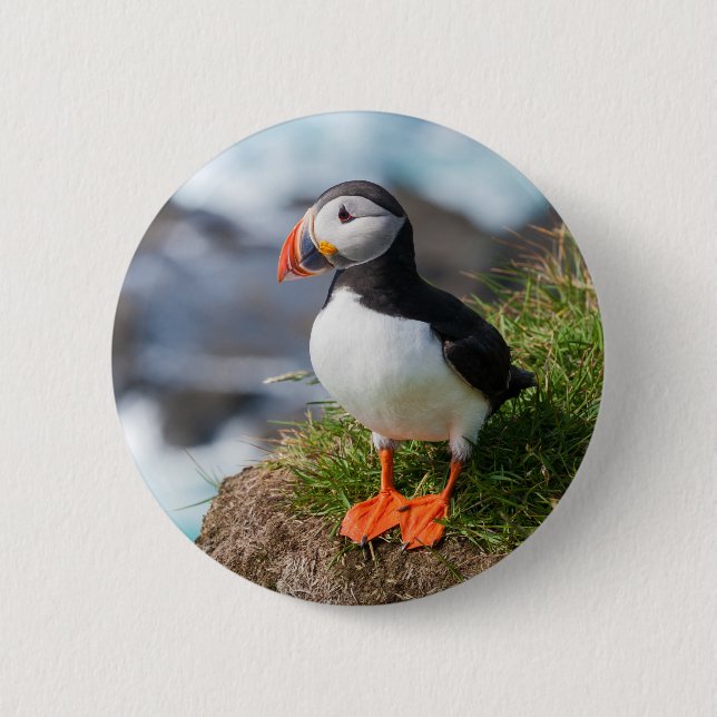 Atlantic Puffin Fratercula Arctica Button (Front)