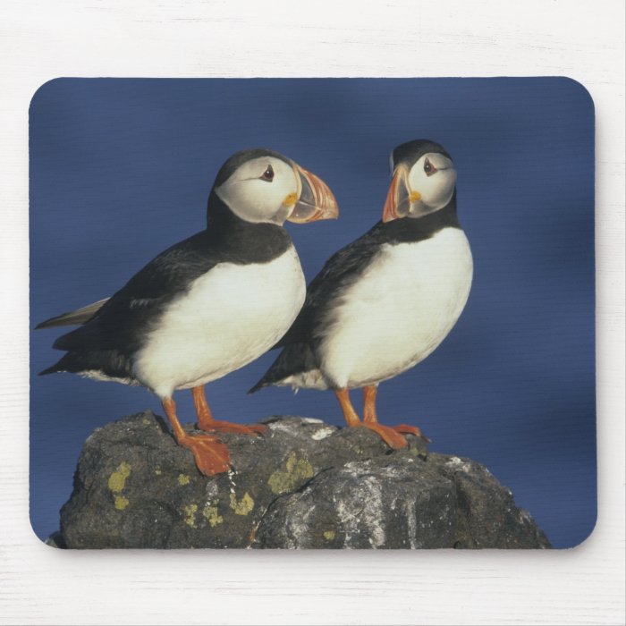 Atlantic Puffin, Fratercula arctica), in Mouse Pad